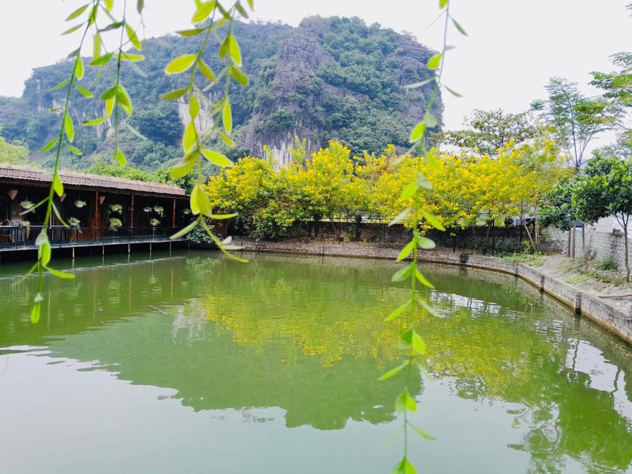 Tam Coc Garden Homestay Ninh Bình Exteriör bild