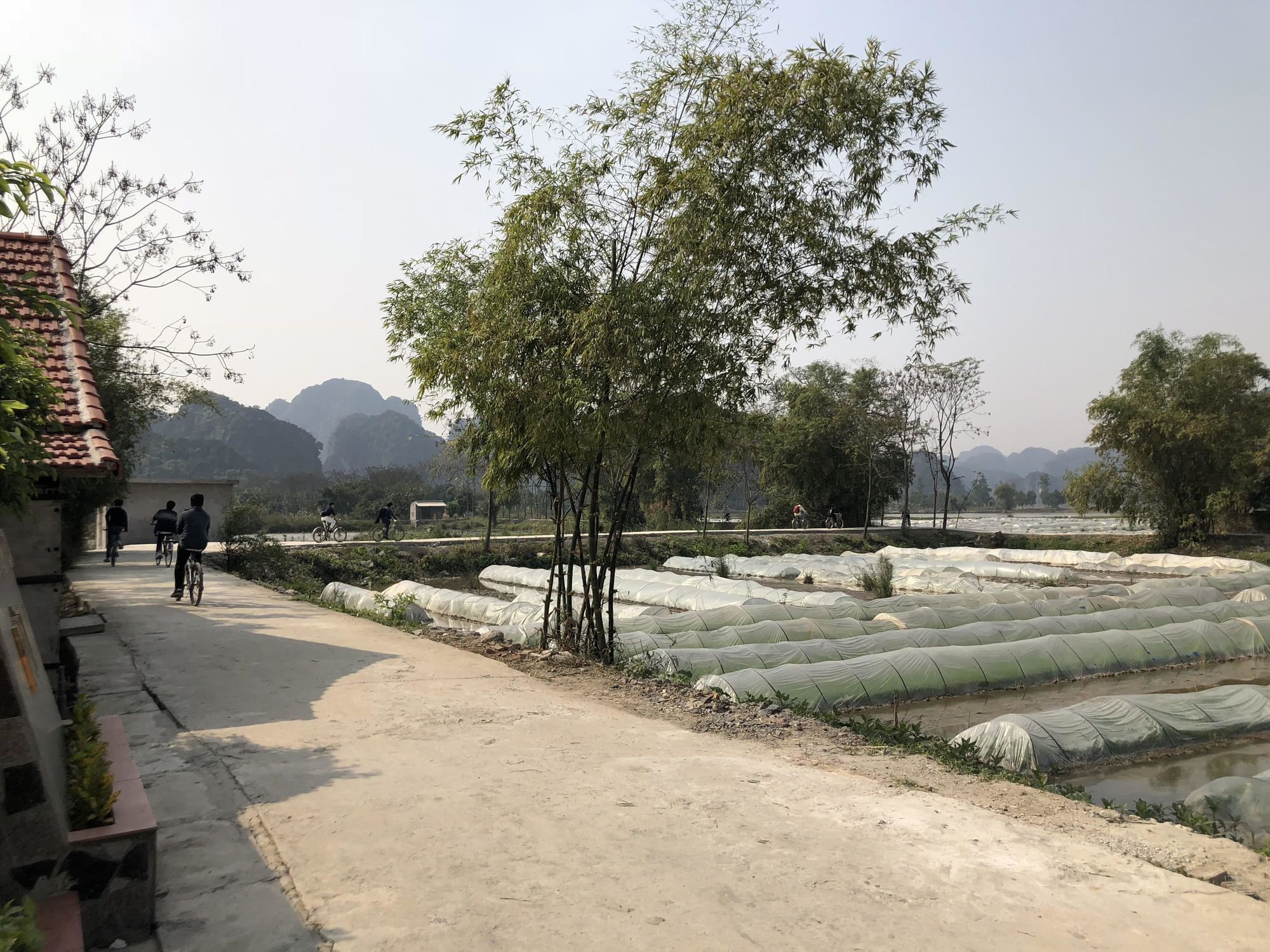Tam Coc Garden Homestay Ninh Bình Exteriör bild